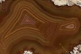 Colorful, Polished Condor Agate - Argentina #209601-1